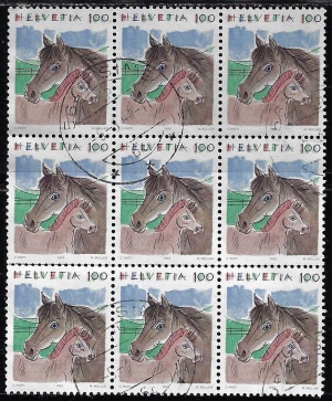 z-793.9