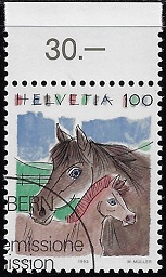z-793