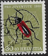 zju-151