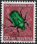 zju-171