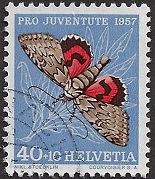 zju-172