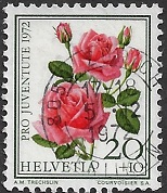 zju-241
