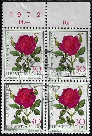 zju-242.4