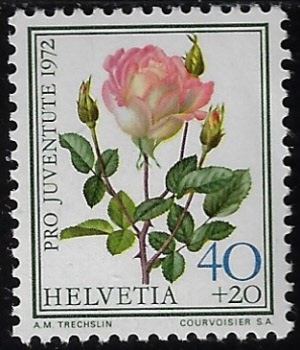 zju-243.1