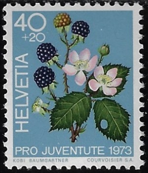 zju-246.1