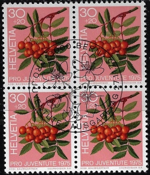 zju-254.4