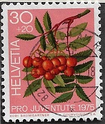 zju-254