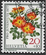 zju-261