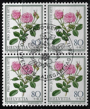 zju-264.4